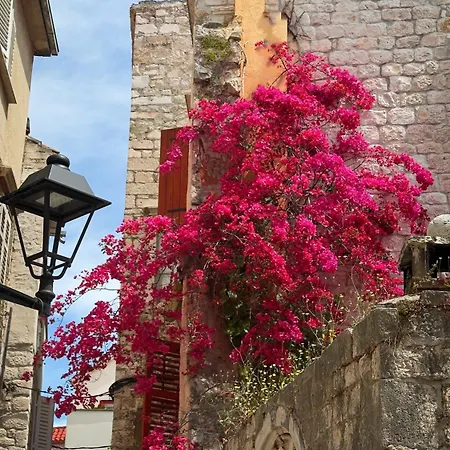 Lägenhet Kula View *