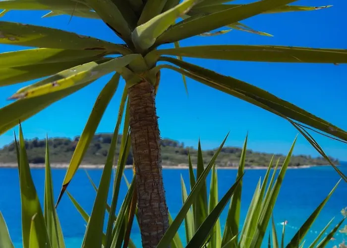 Kula View Apartment Trogir