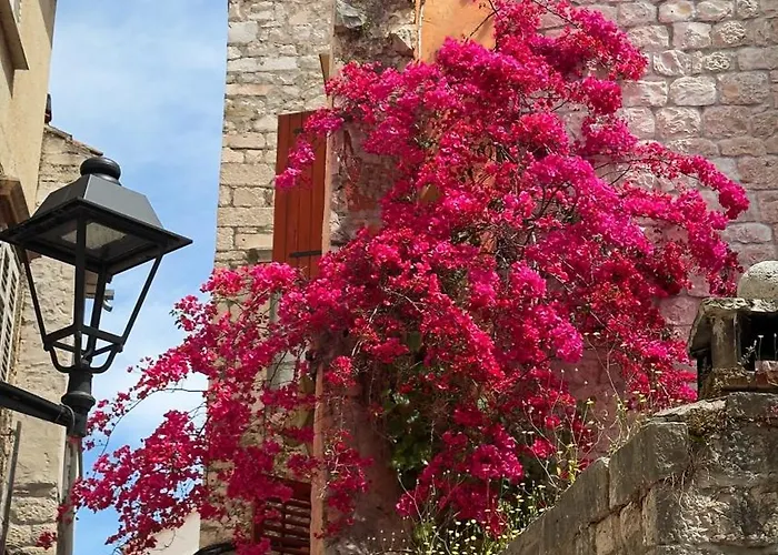 Apartment Kula View *