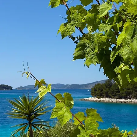 Kula View * Trogir
