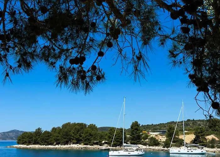 Kula View 特罗吉尔