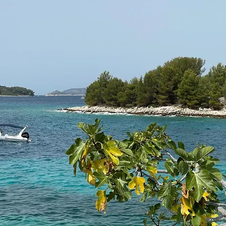 Kula View * Τρογκίρ