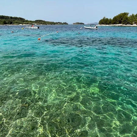Διαμέρισμα Kula View Τρογκίρ