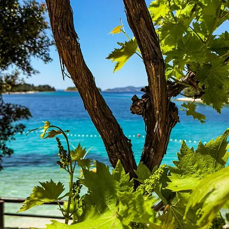 Kula View Διαμέρισμα *